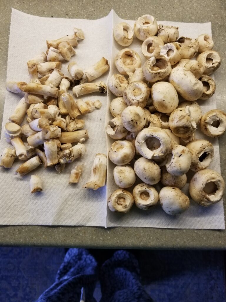 Separate mushroom stems and caps