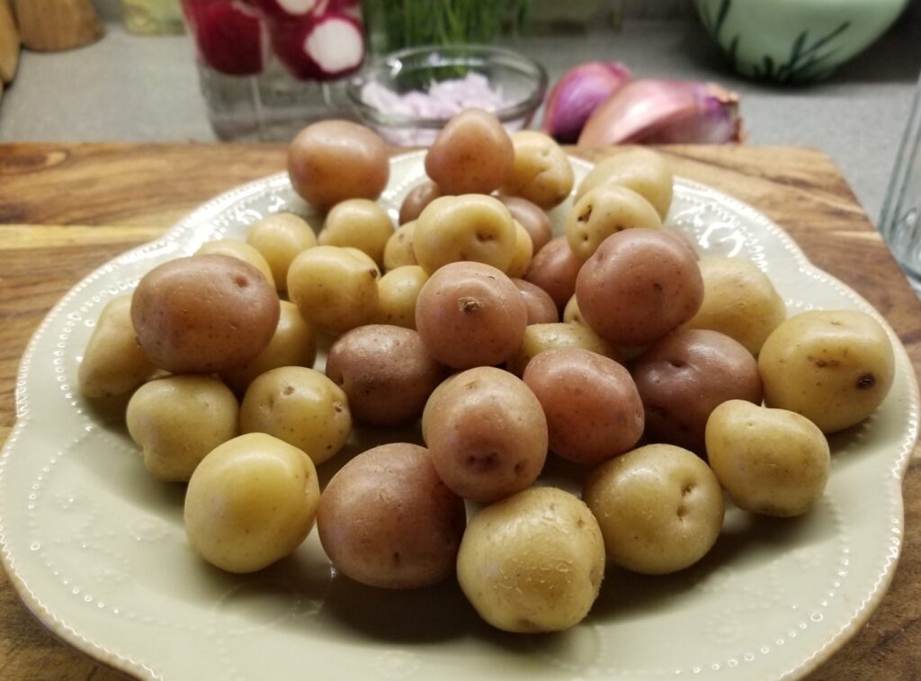 Baby Potatoes