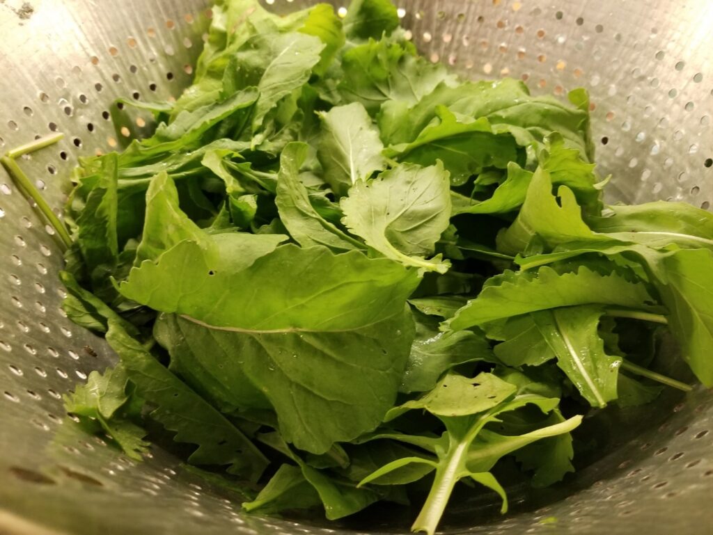 fresh arugula