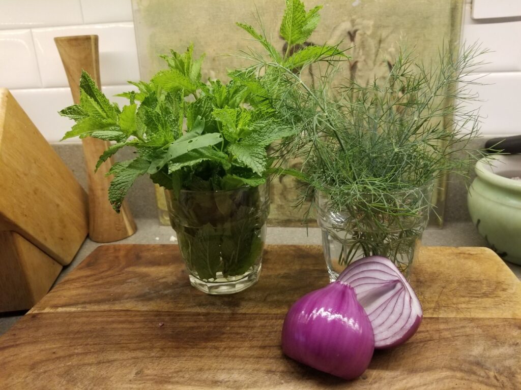 herbs and alliums for the salad