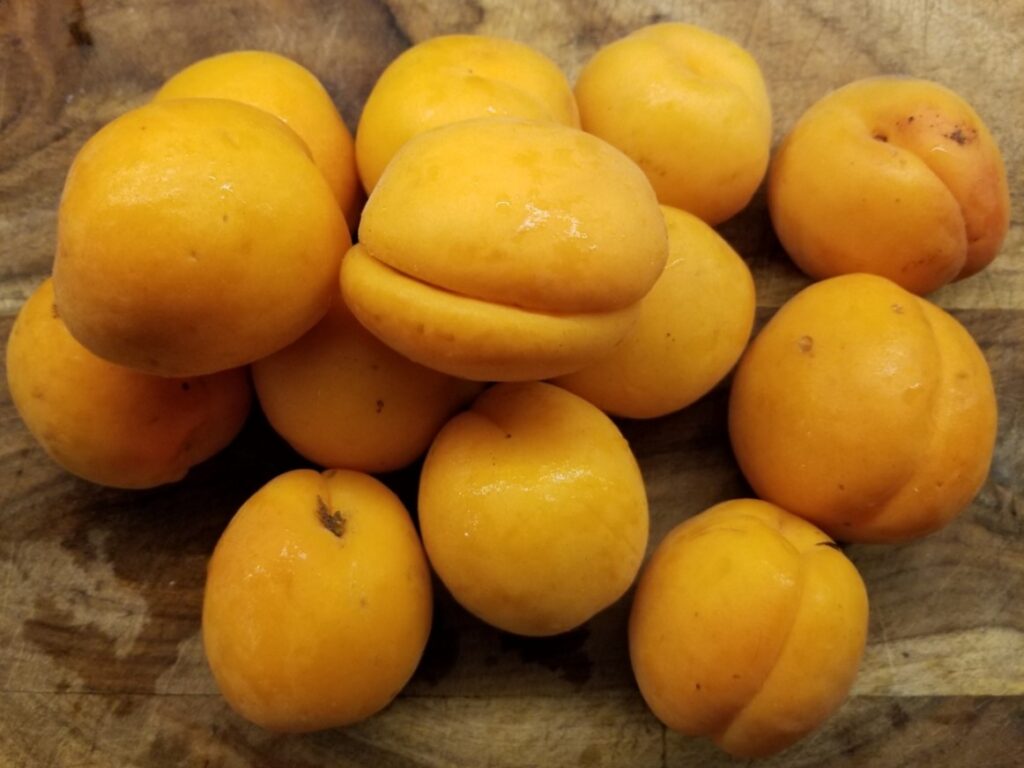 fresh apricots