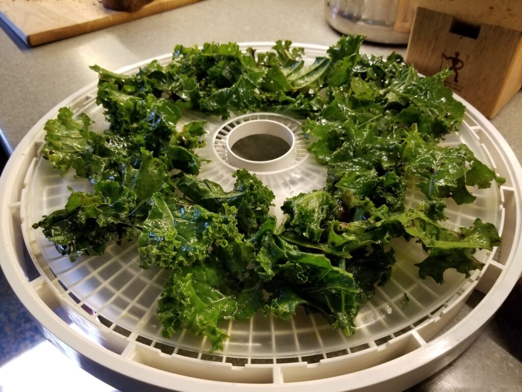 one tray of Balsamic Kale Chips