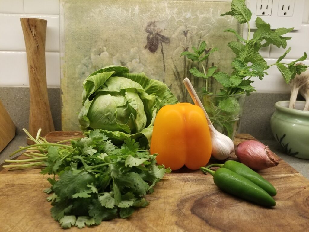 the beginnings of Vietnamese Chicken and Cabbage Salad