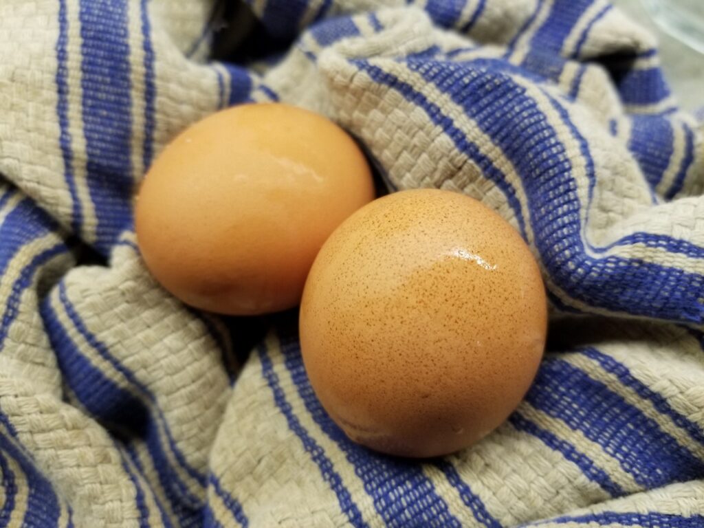 boiled eggs for salad nicoise