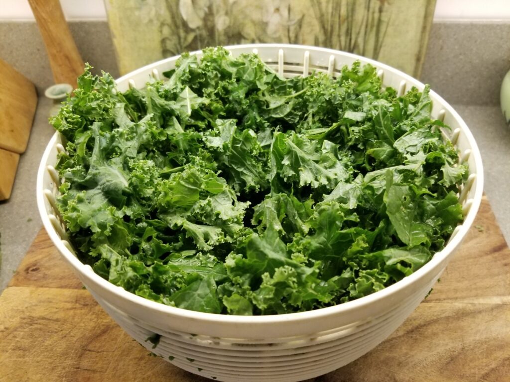 washed and dried kale