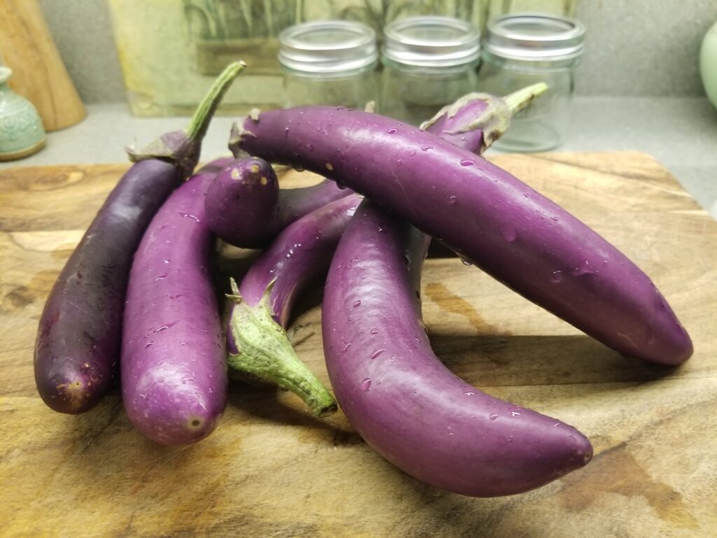 eggplant for teriyaki steak and eggplant