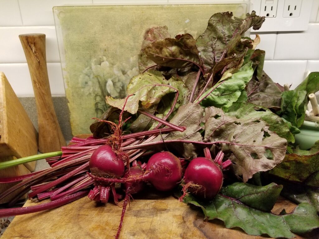 Fresh beets for Roasted Beets in Balsamic Glaze