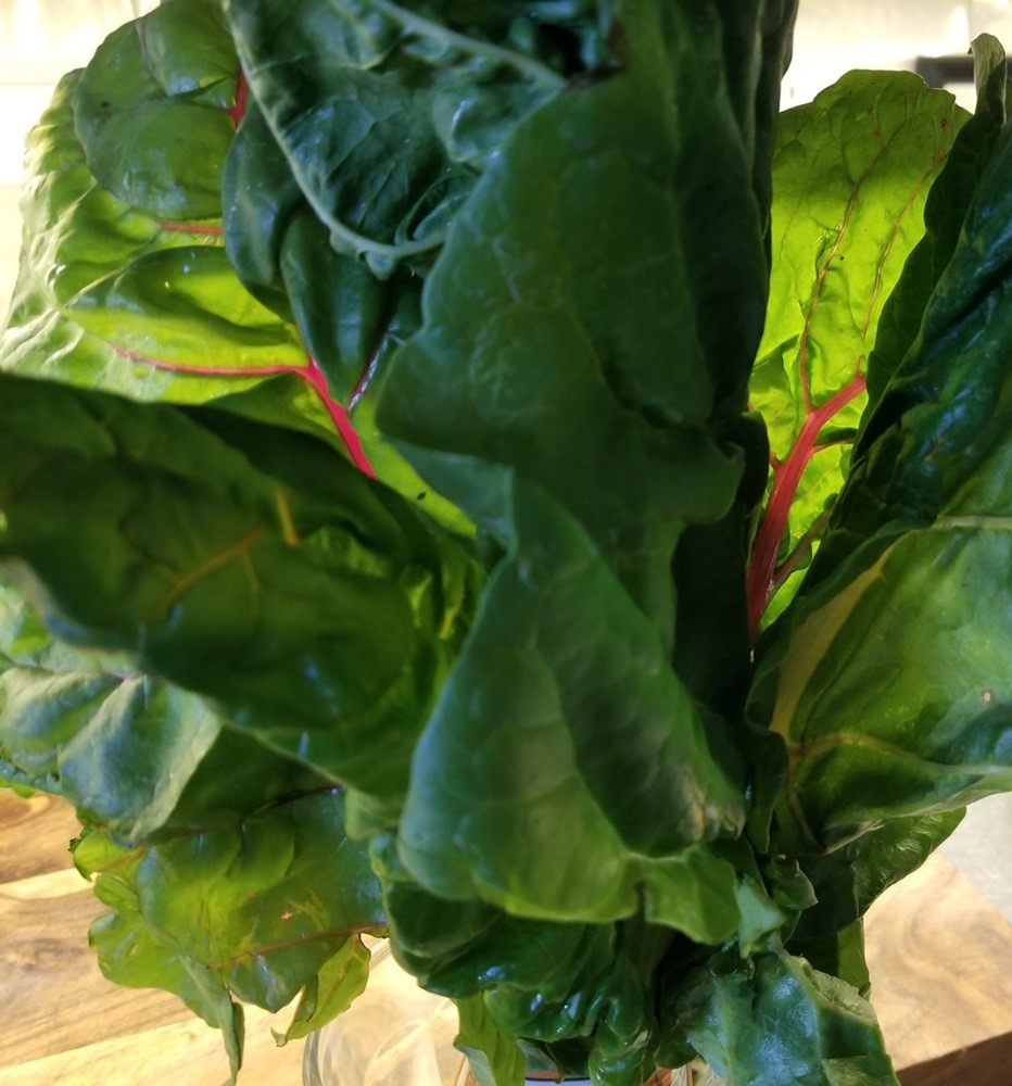 beautiful Swiss chard