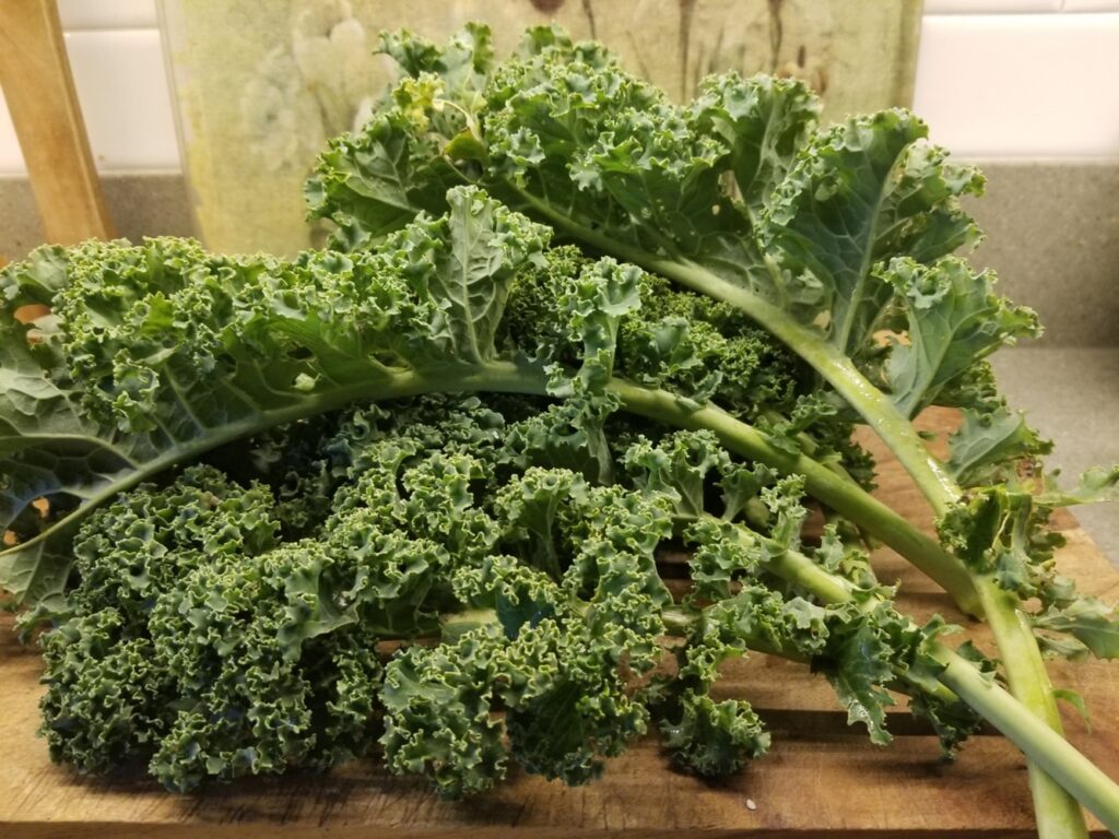 fresh kale for Chorizo, Sweet Potato, and Kale Stew