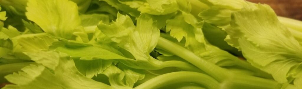 Celery for Creamy Celery Soup