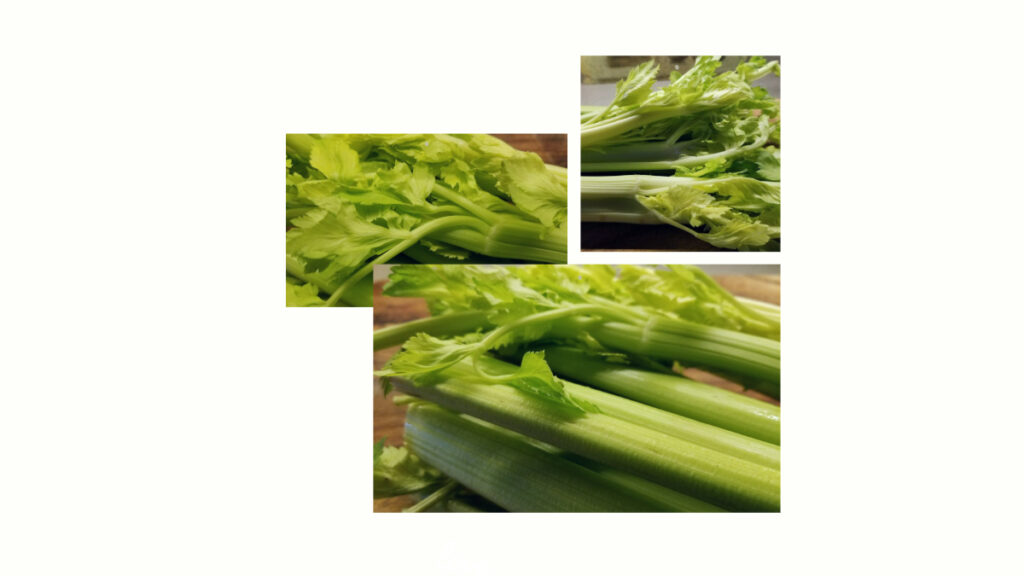 fresh celery for Creamy Celery Soup