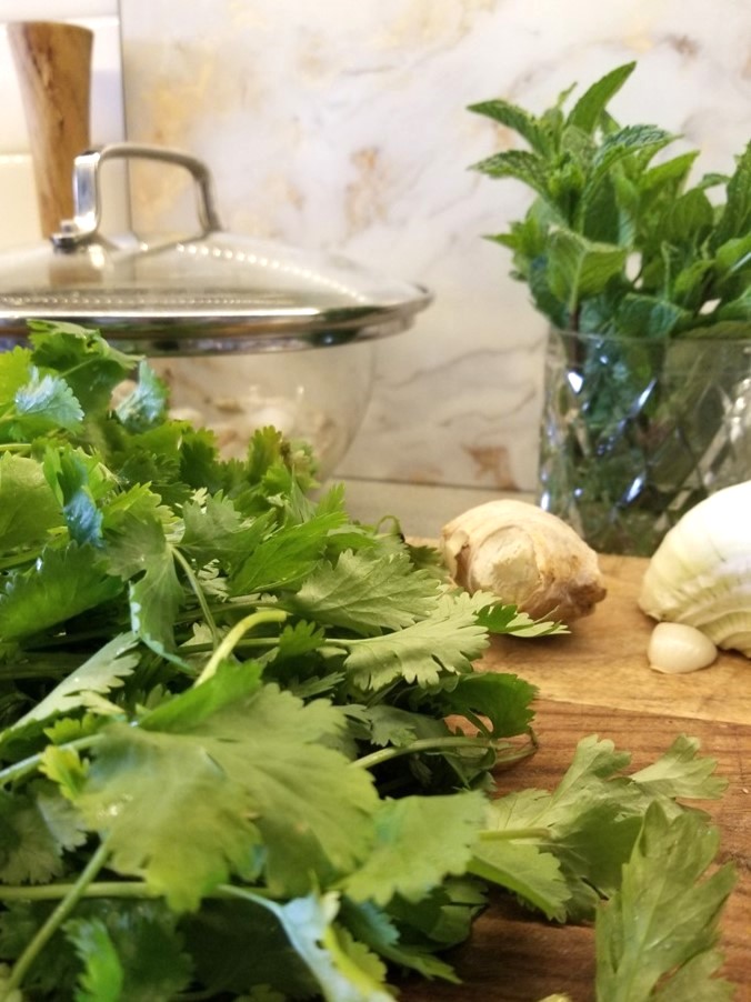 cilantro and aromatics for brothy soup