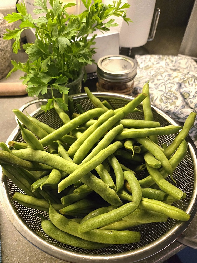 beans for Duquesne Green Beans