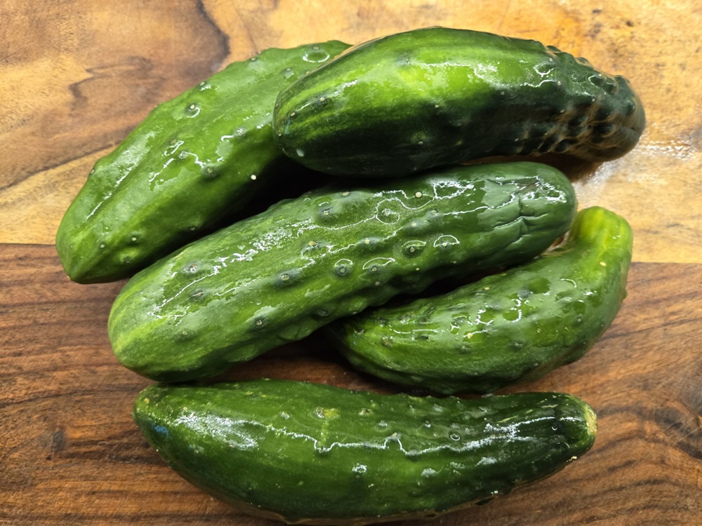 Cucumbers for Cucumber Salsa