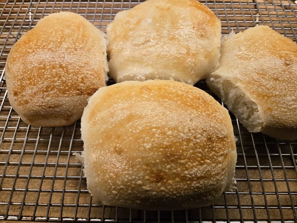 sourdough sandwich rolls - hamburger buns